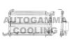 AUTOGAMMA 102814 Condenser, air conditioning
